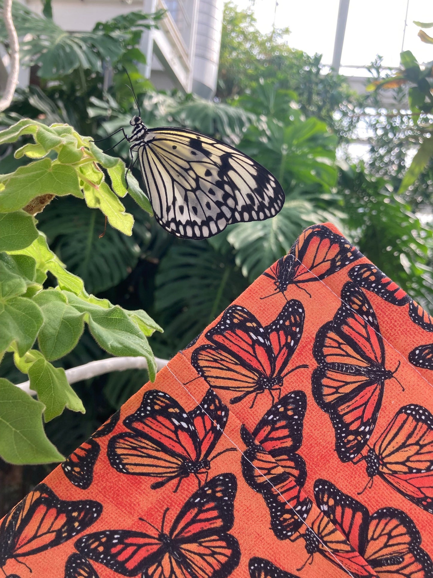 Monarch Butterfly Padded Book Sleeve in Multiple Sizes + Kindle Paperwhite